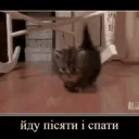 Клан пупса