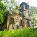 The Overgrown Estate