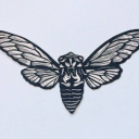 Cicada's Library