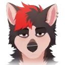 Kort