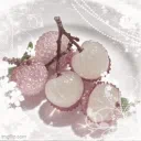 ♡̶　𓈒 𓎟　/lychees   ֵ     ׂ   𓈒
