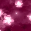 Pink lilies gaming server