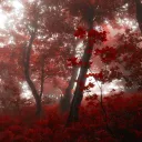 Ruby Night | The Birth