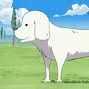 Doggo's Market
