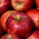 Apple tree