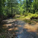 The Art Creek