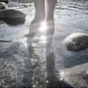 /starlight