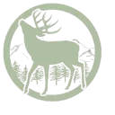 Server icon