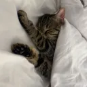 bed 💤