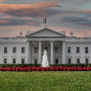 America: The Art of Politics