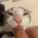 Catsos مركز عمليات