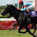 ⭐競馬集会所⭐