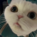 GREY - chill gaming serv