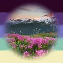 PNW Plurals