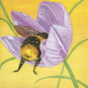 Bumble & Bloom 18+