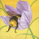 Bumble & Bloom 18+