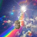 ludkittens
