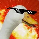 Gooses