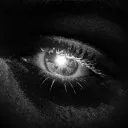 yeux.company