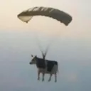 Antenna