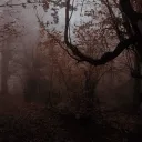 Amberfall