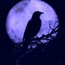 𓆩ℭ𝔬𝔯𝔳𝔲𝔰 𝔎𝔢𝔢𝔭𓆪