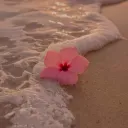 Flowers and Sunshine