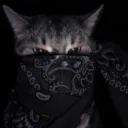 𝑿𝟓𝑽