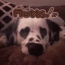 [+18]Mutts .ᐟ⸝⸝