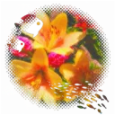 ⭑.ᐟ  Project Palooza ; 🌺