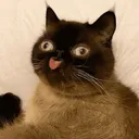 goob.wtf