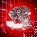 Sayen hub