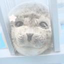 envy's sea animals ★
