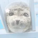 envy's sea animals ★