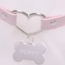 puppy playplace