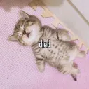 doid