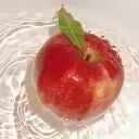 The Apple Orchard