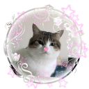 𝑺𝒖𝒑𝒆𝒓 𝒂𝒘𝒆𝒔𝒐𝒎𝒆 𝒄𝒐𝒐𝒍 𝒈𝒖𝒚𝒔™