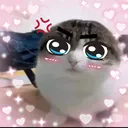 𝑺𝒖𝒑𝒆𝒓 𝒂𝒘𝒆𝒔𝒐𝒎𝒆 𝒄𝒐𝒐𝒍 𝒈𝒖𝒚𝒔™