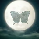 FLUTTER SMP ཐི༏ཋྀ