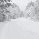 /winters