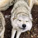 [18+] WRUFF