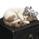 /bank