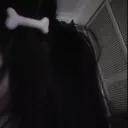 tung