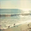 !! ꒰ backshore ꒱ 🏖 🌊