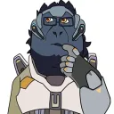 Hornswagglerow discord !!!