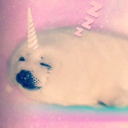 Uniseals