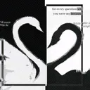 swans
