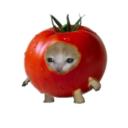 🍅•LosTomaterosLand•🍅