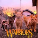 Warrior catz (not official ofc)